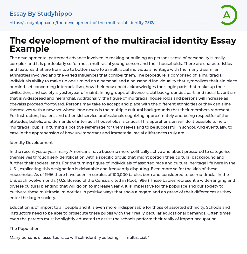 The development of the multiracial identity Essay Example
