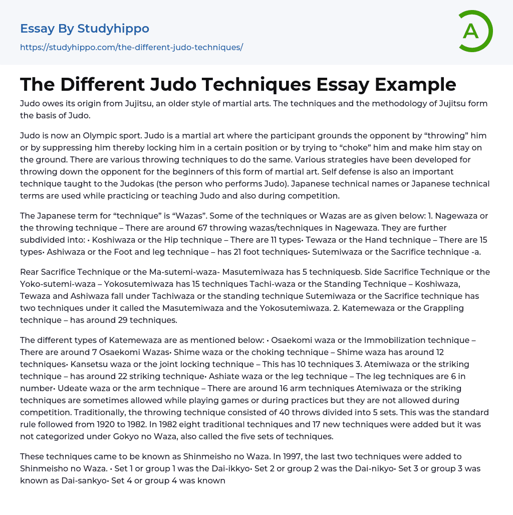 The Different Judo Techniques Essay Example