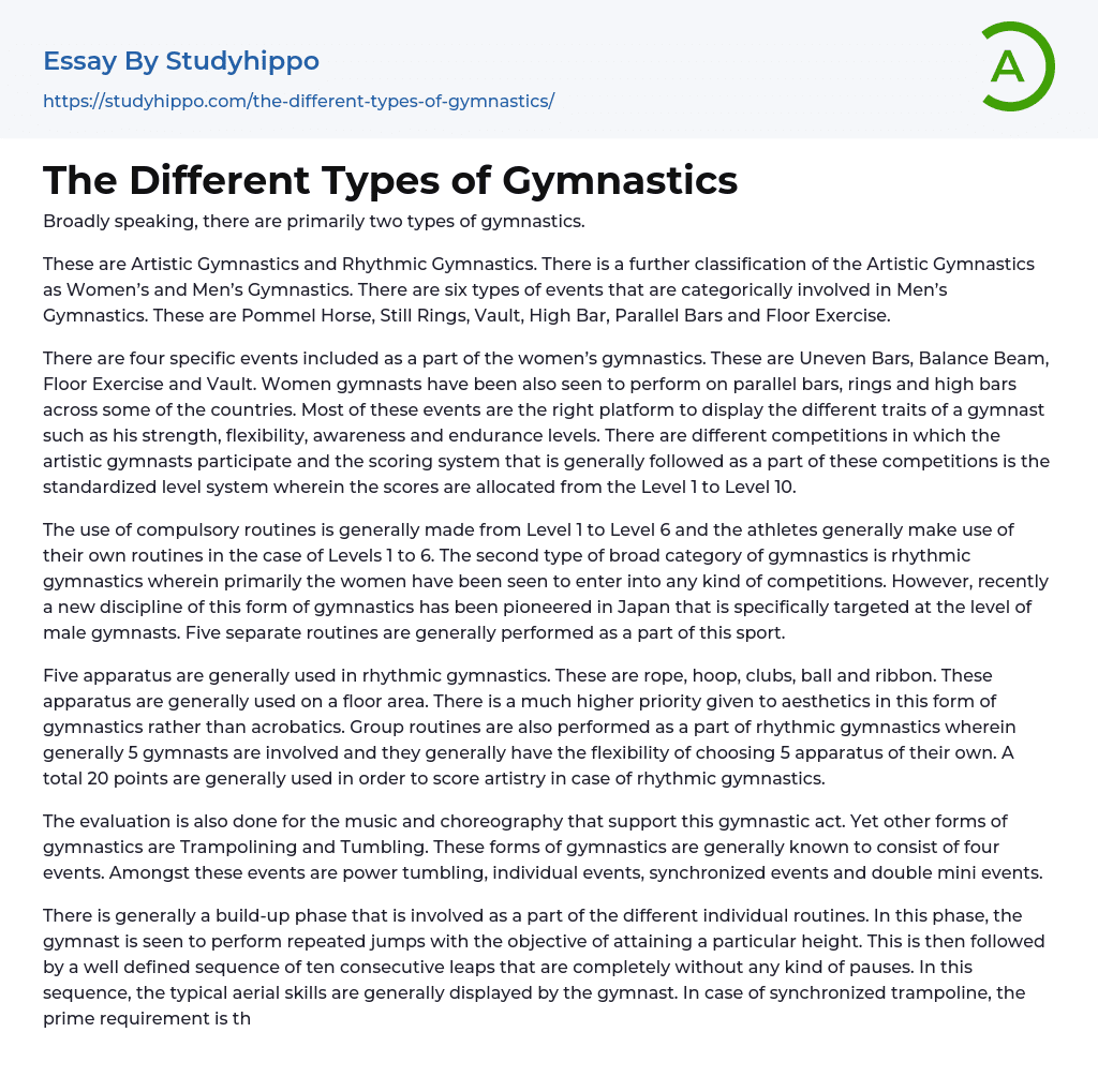 The Different Types of Gymnastics Essay Example