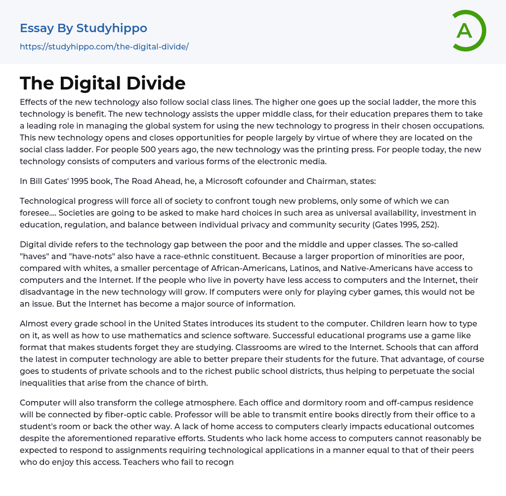 The Digital Divide Essay Example