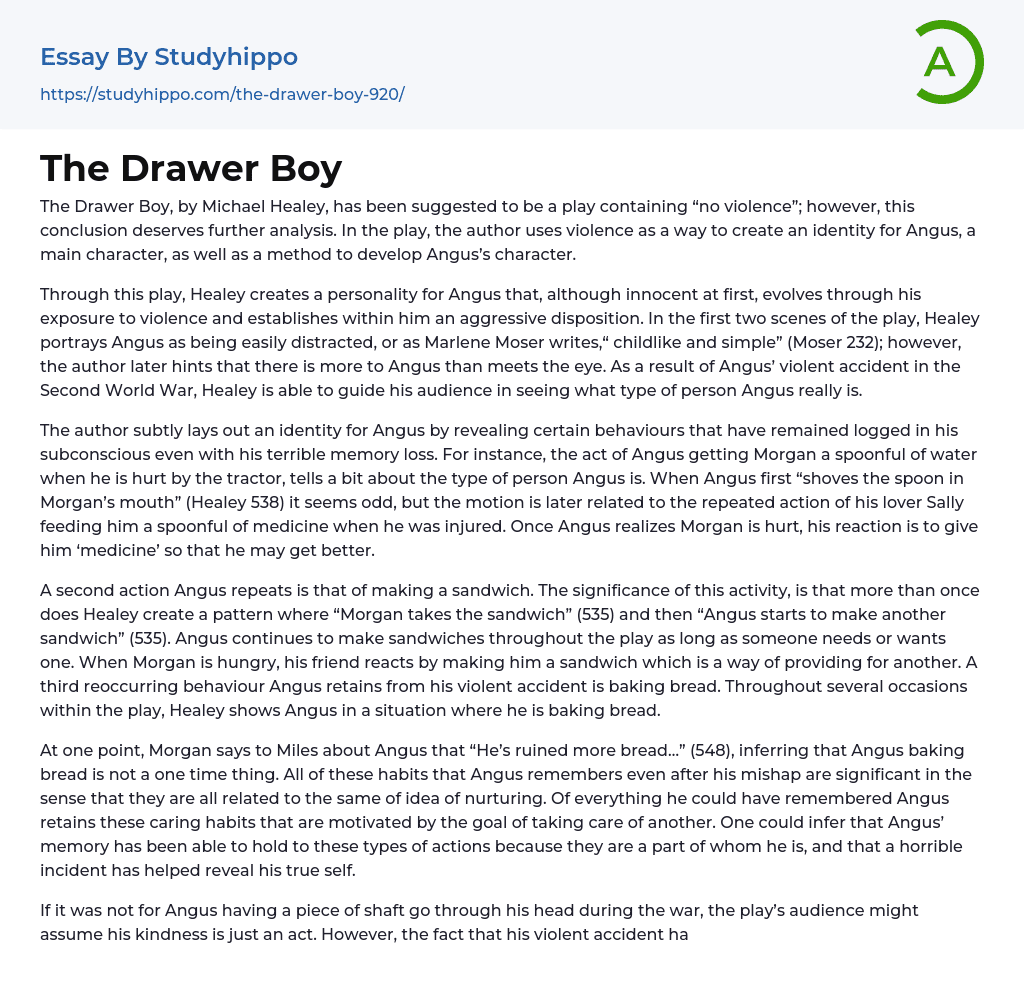 The Drawer Boy Essay Example