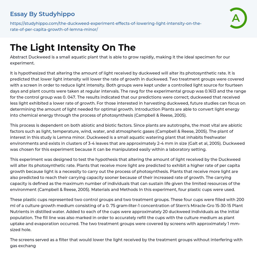 The Light Intensity On The Essay Example