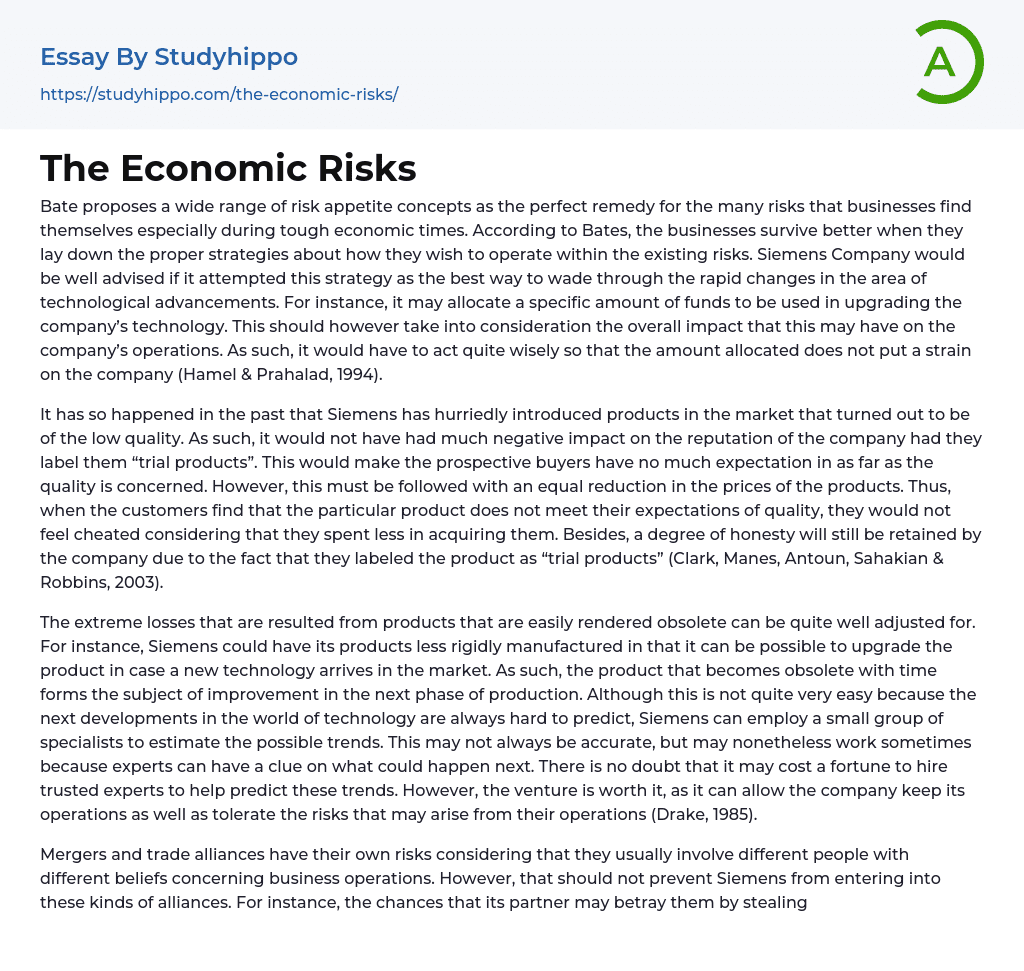 The Economic Risks Essay Example