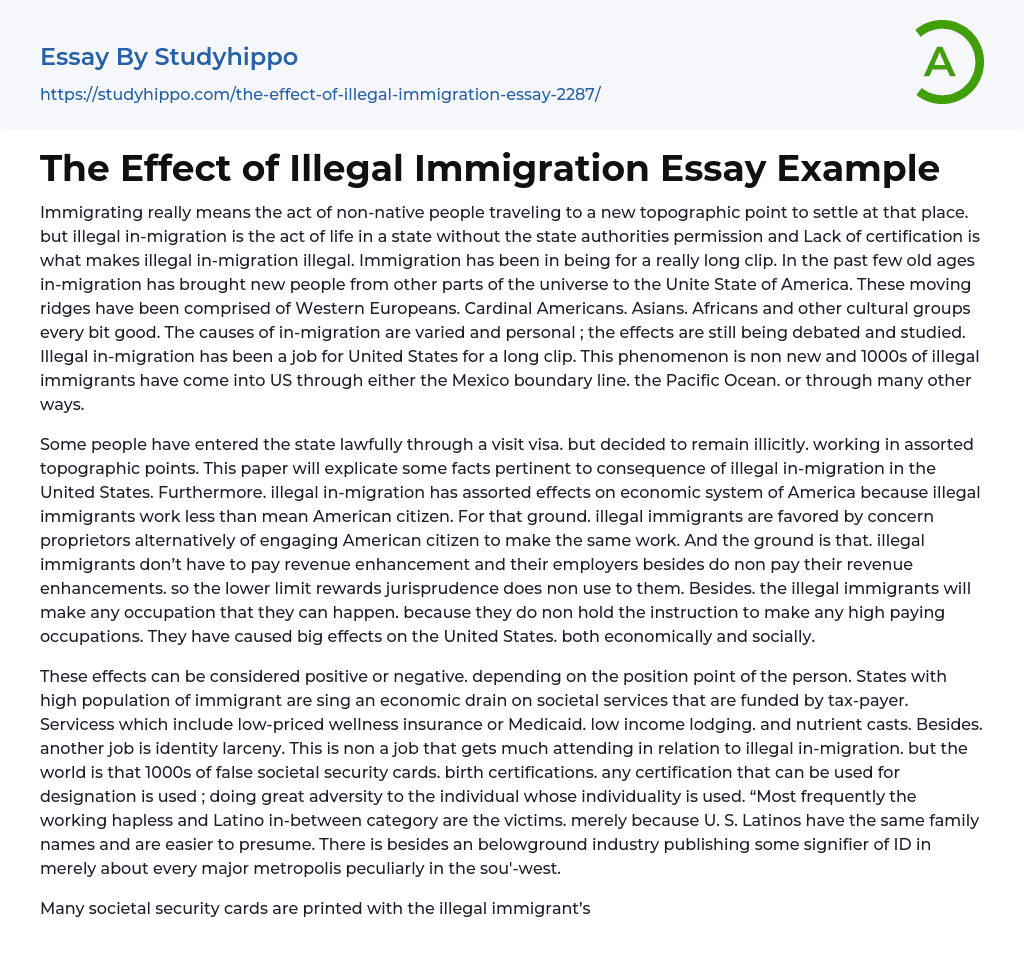 The Effect of Illegal Immigration Essay Example