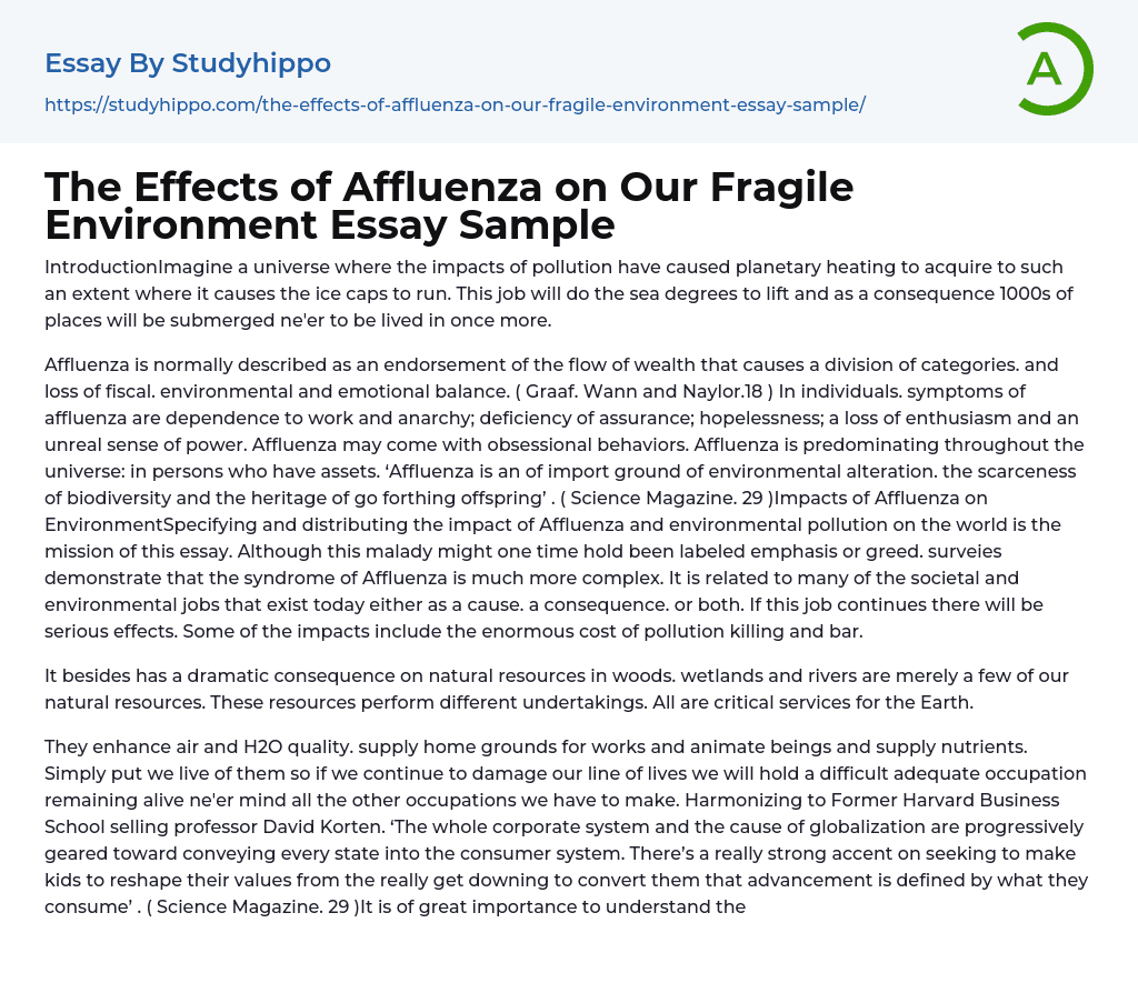 The Effects of Affluenza on Our Fragile Environment Essay Sample