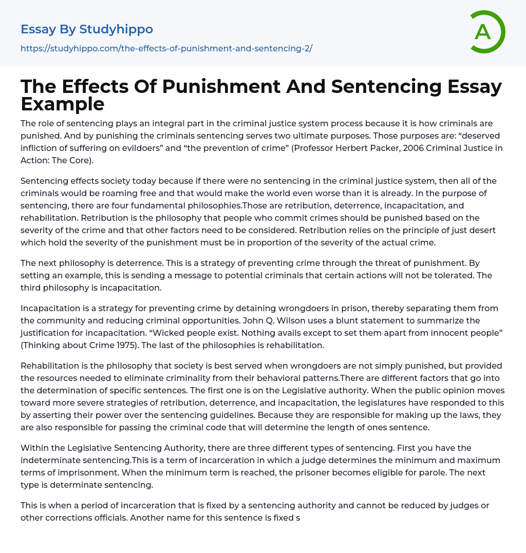 The Effects Of Punishment And Sentencing Essay Example