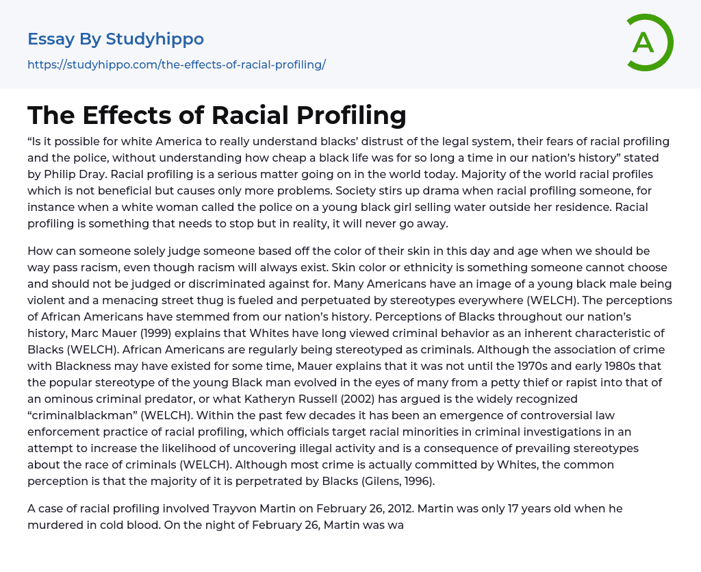 The Effects of Racial Profiling Essay Example