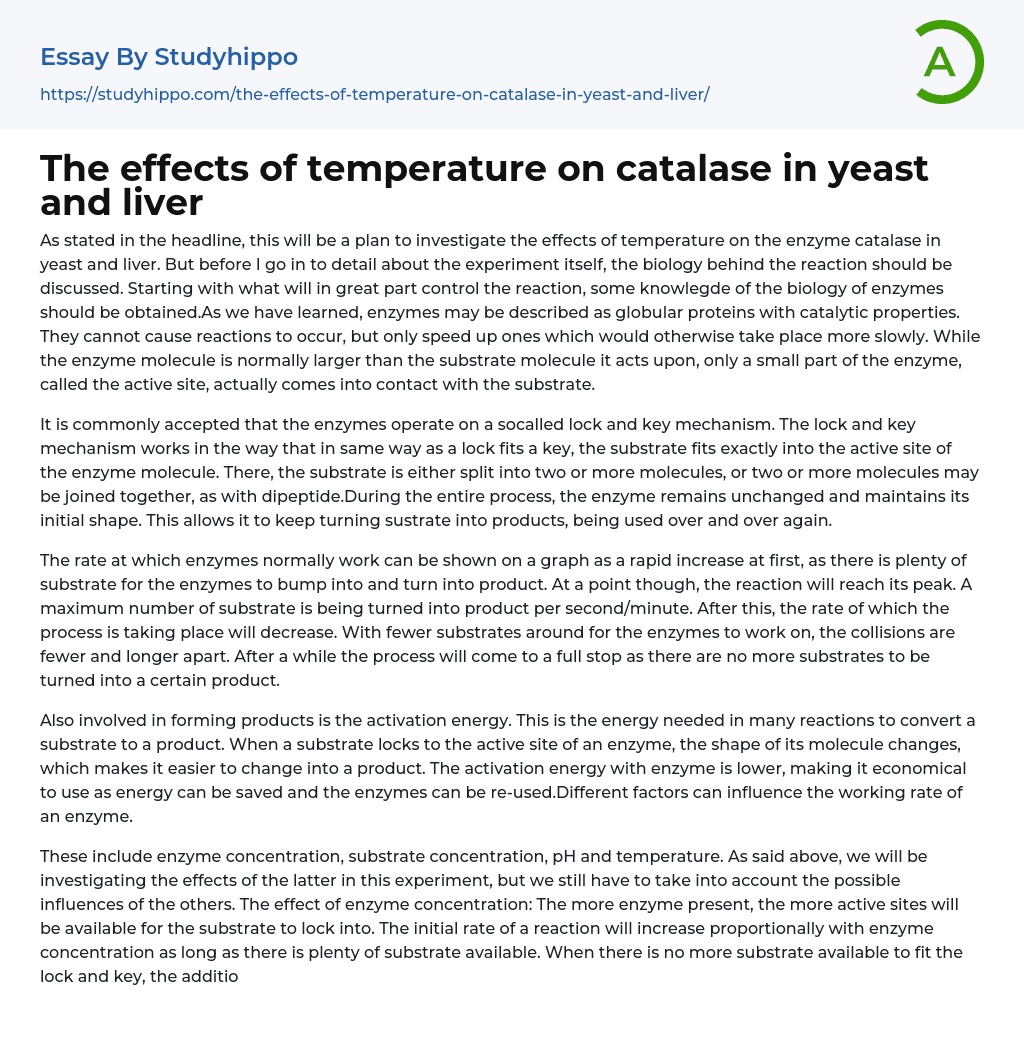 The effects of temperature on catalase in yeast and liver Essay Example