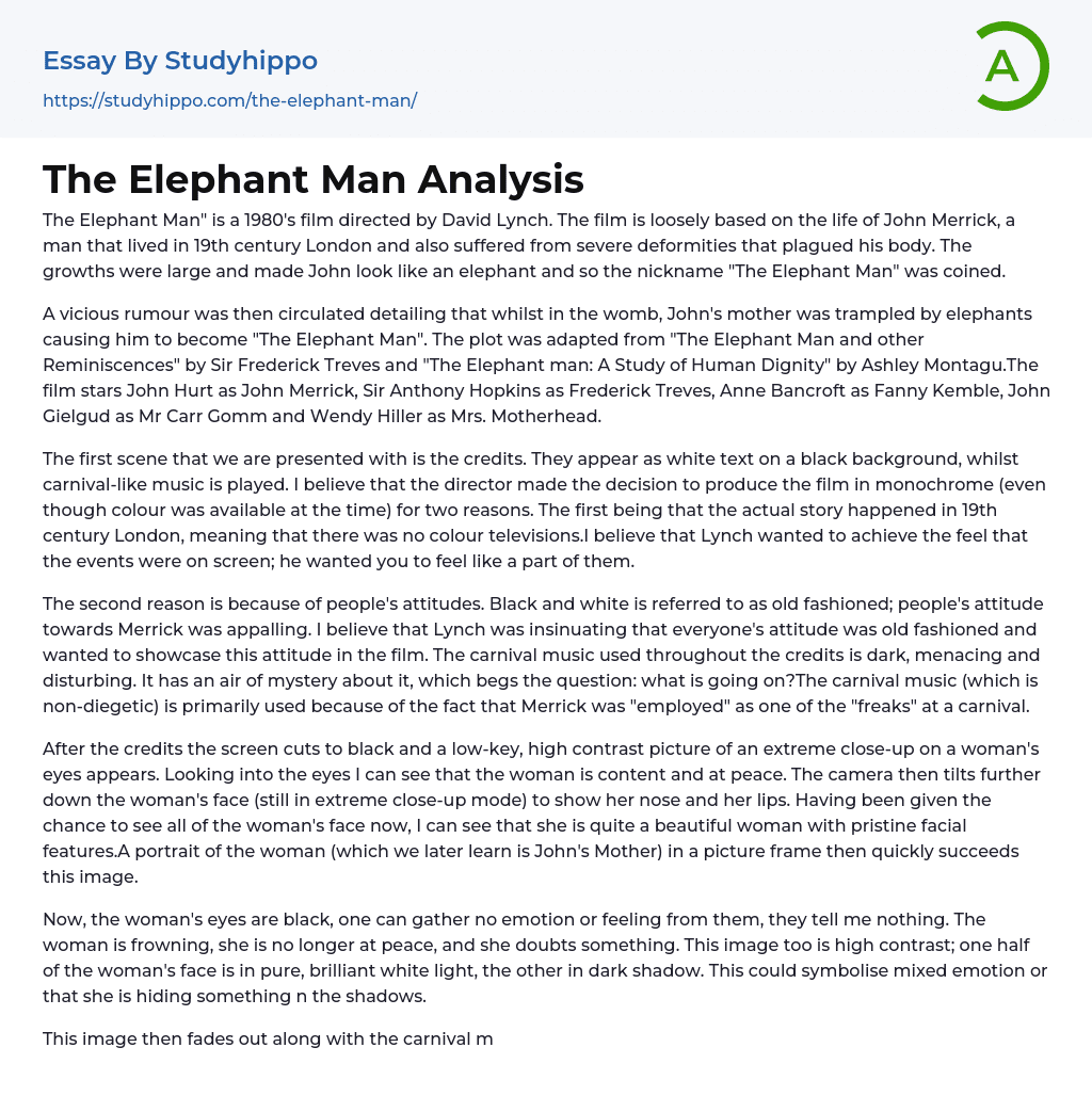 The Elephant Man Analysis Essay Example