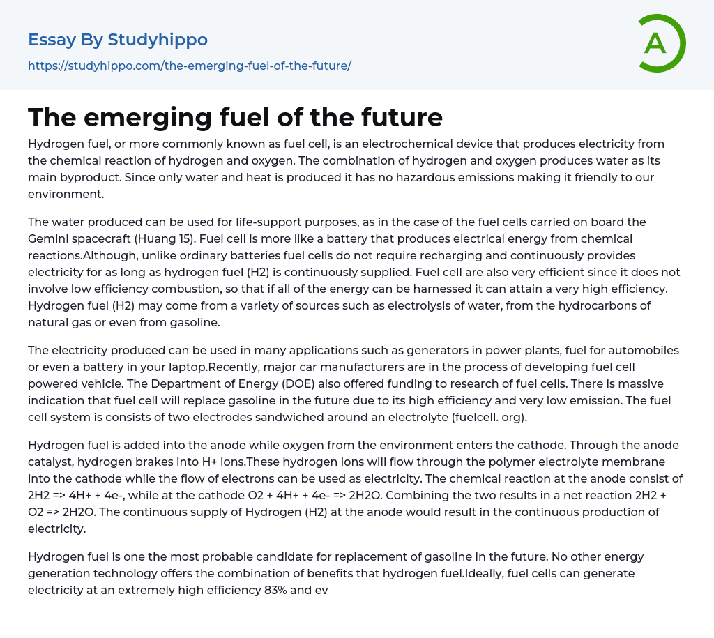 The emerging fuel of the future Essay Example