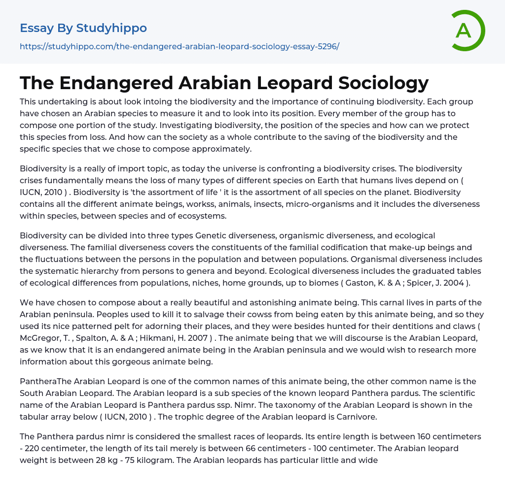 The Endangered Arabian Leopard Sociology Essay Example