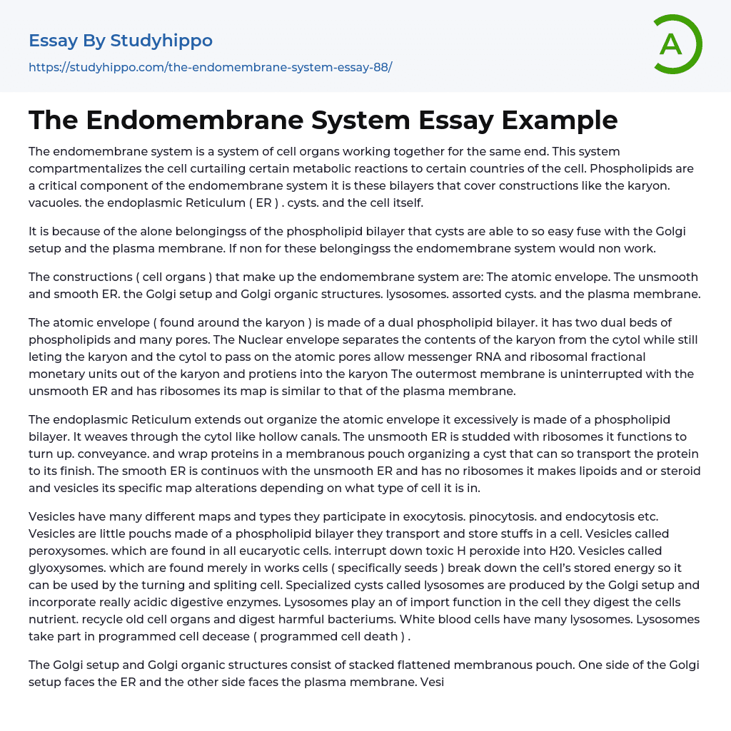 The Endomembrane System Essay Example