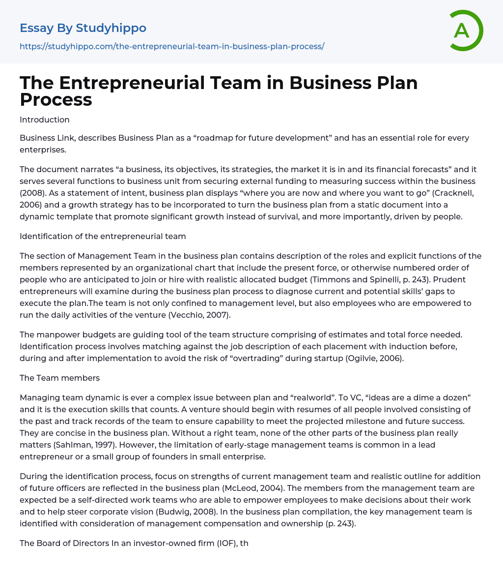 The Entrepreneurial Team in Business Plan Process Essay Example