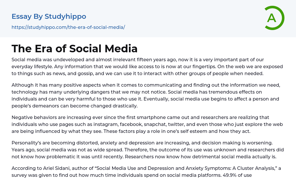 The Era of Social Media Essay Example