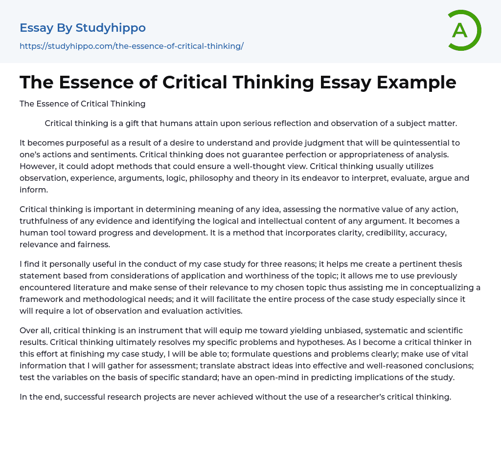 The Essence of Critical Thinking Essay Example