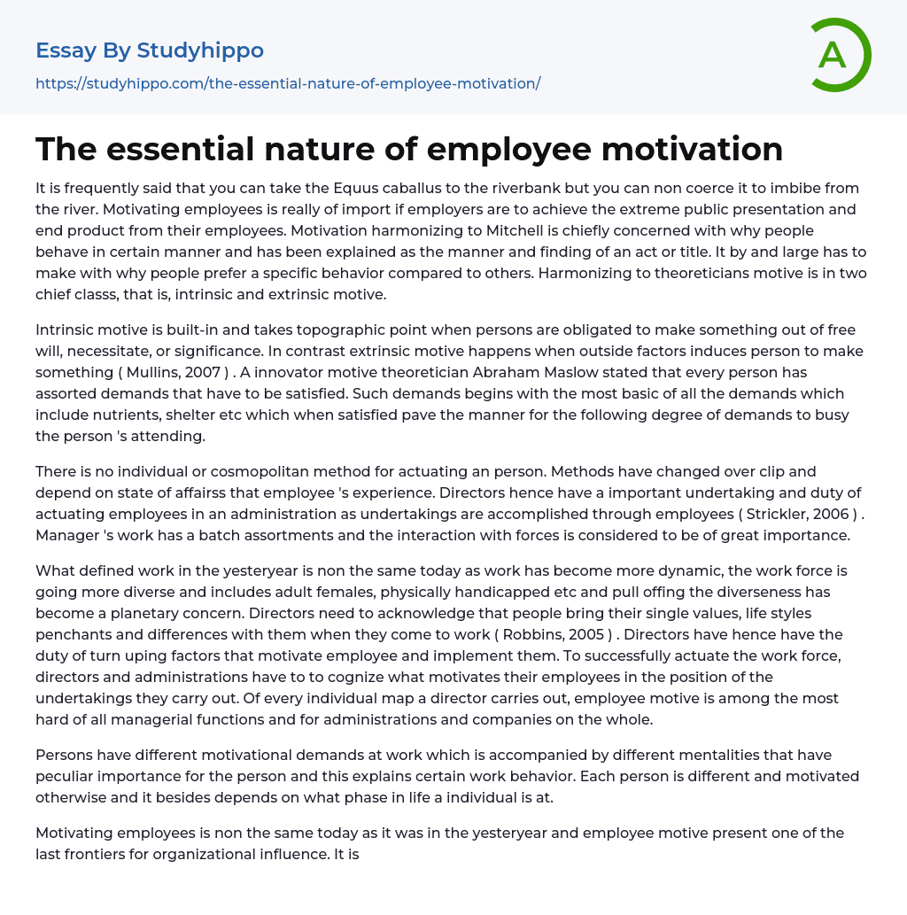 The essential nature of employee motivation Essay Example