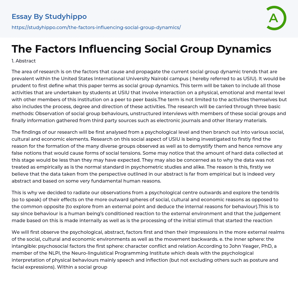 The Factors Influencing Social Group Dynamics Essay Example