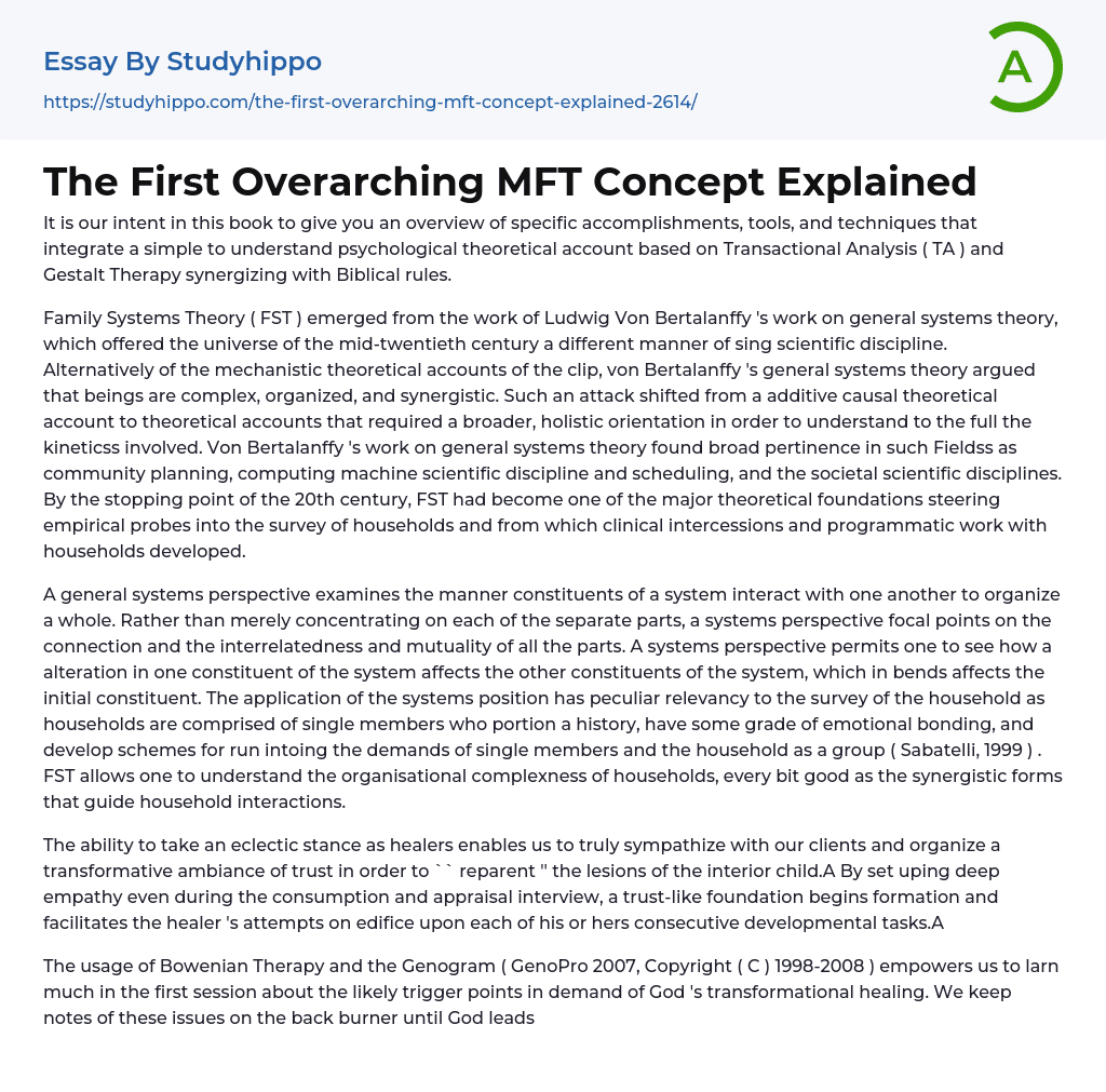 The First Overarching MFT Concept Explained Essay Example