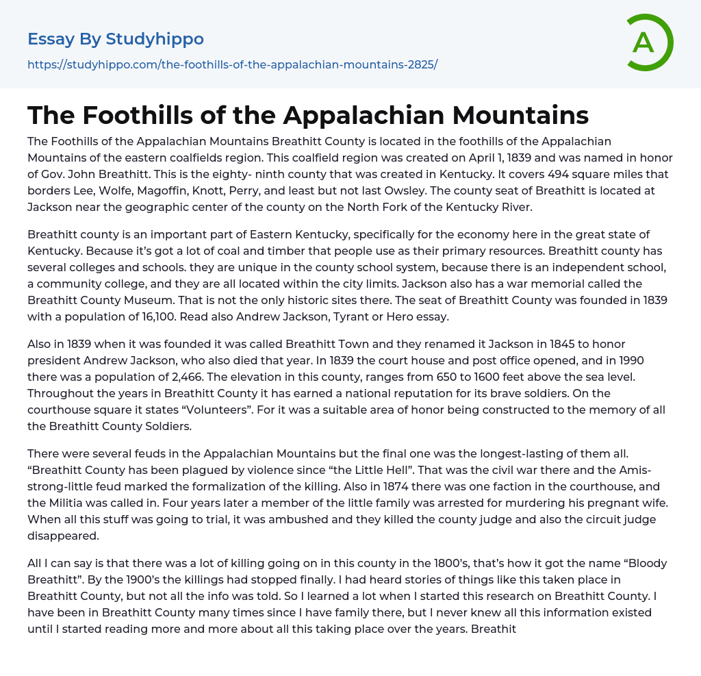 The Foothills of the Appalachian Mountains Essay Example
