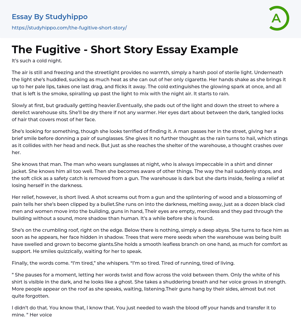 The Fugitive – Short Story Essay Example