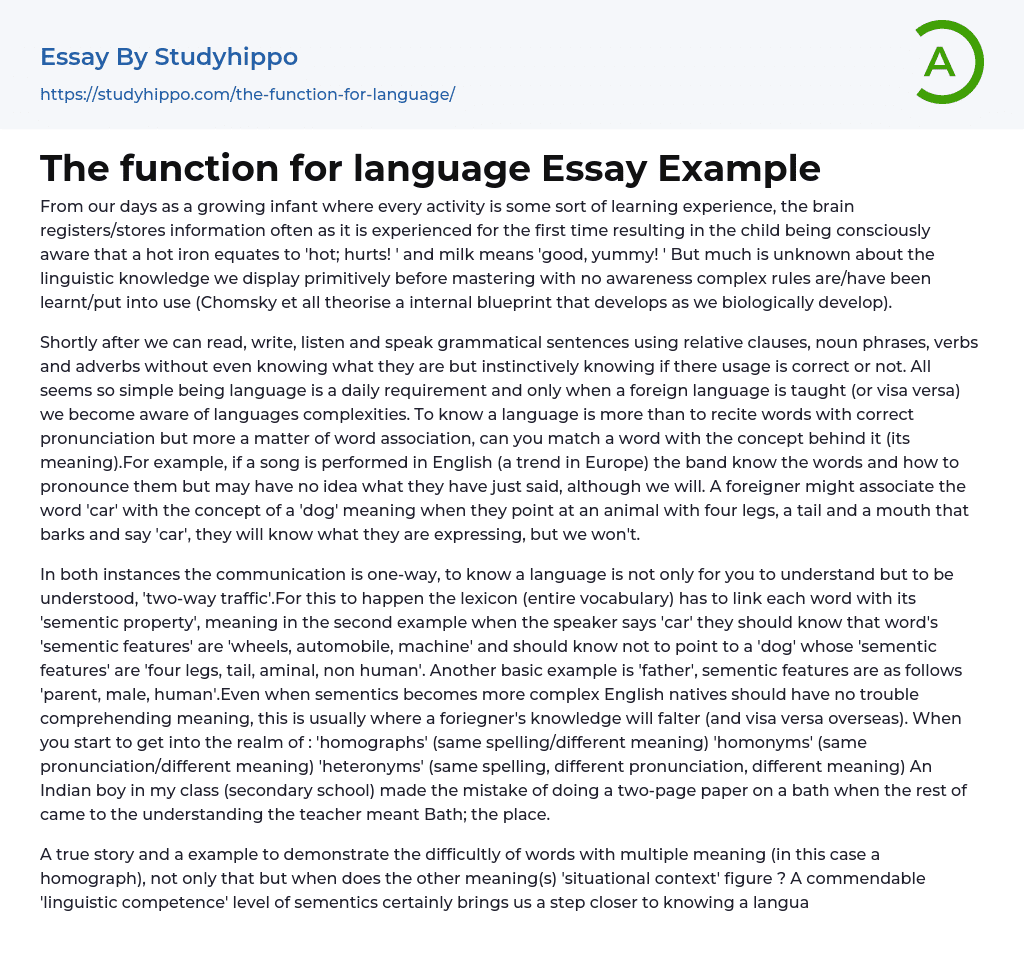 The function for language Essay Example