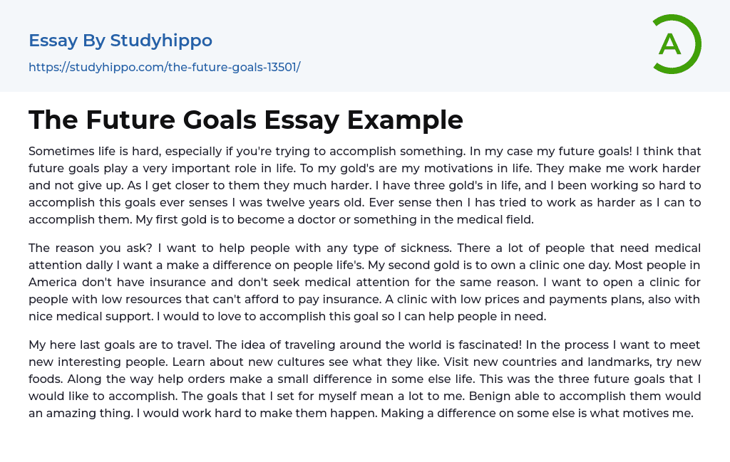 The Future Goals Essay Example