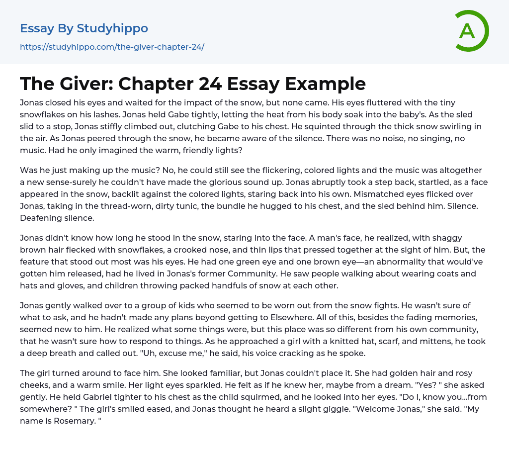 The Giver: Chapter 24 Essay Example