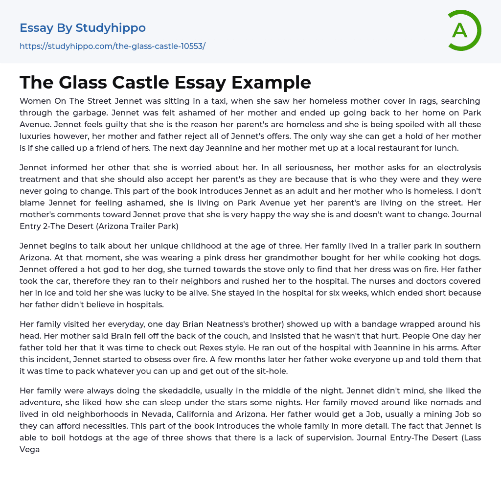 The Glass Castle Essay Example