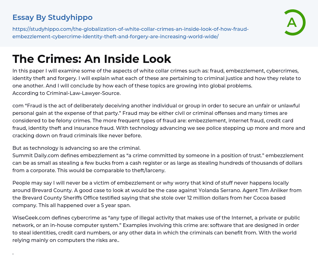 The Crimes: An Inside Look Essay Example