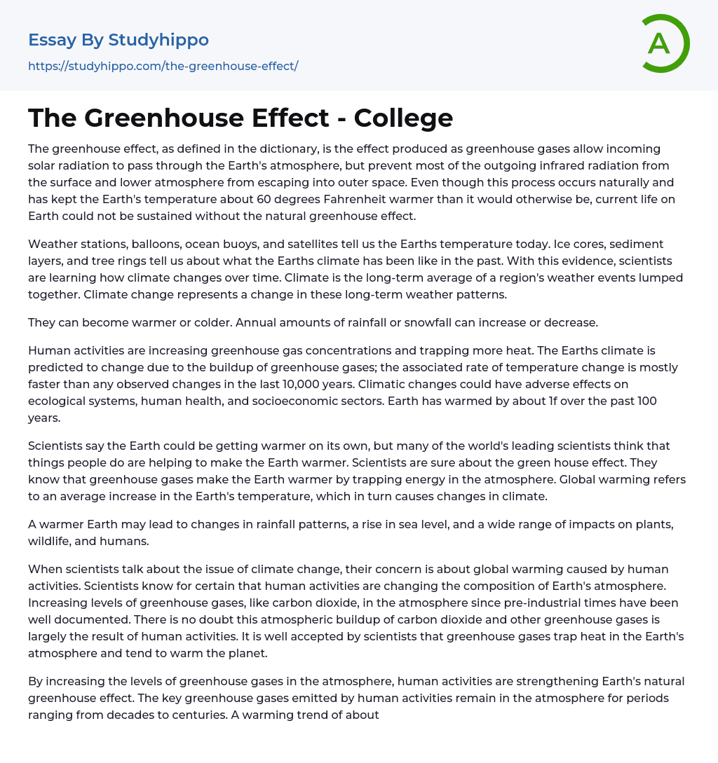 The Greenhouse Effect – College Essay Example