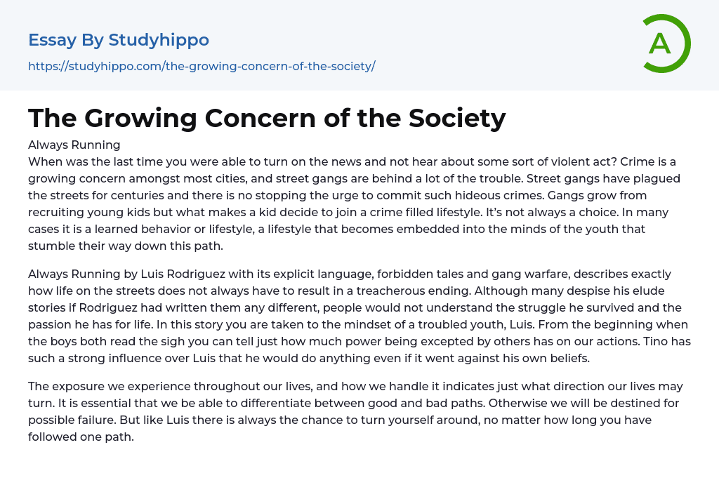 The Growing Concern of the Society Essay Example
