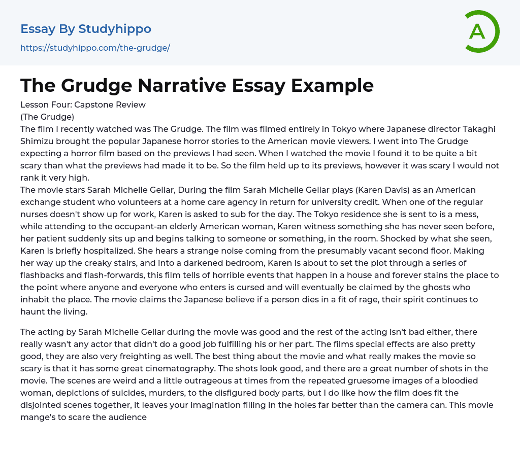 The Grudge Narrative Essay Example