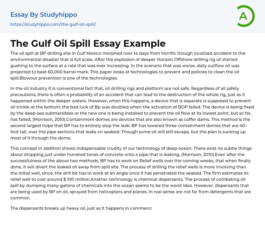 The Gulf Oil Spill Essay Example