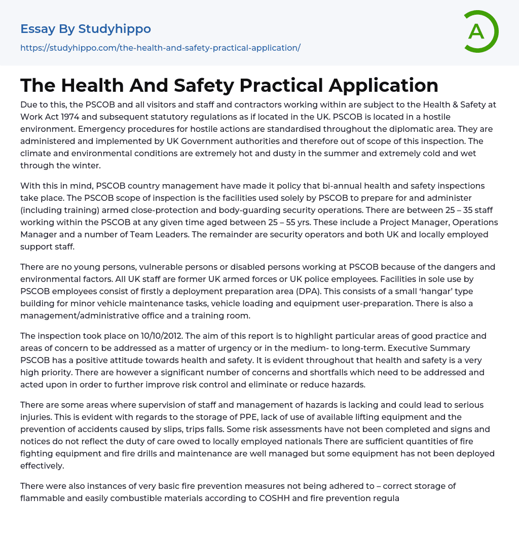 The Health And Safety Practical Application Essay Example
