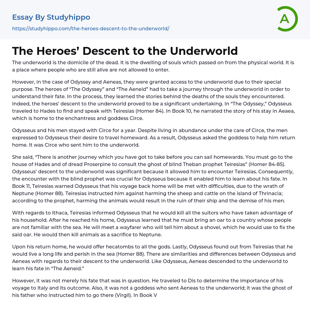 The Heroes’ Descent to the Underworld Essay Example