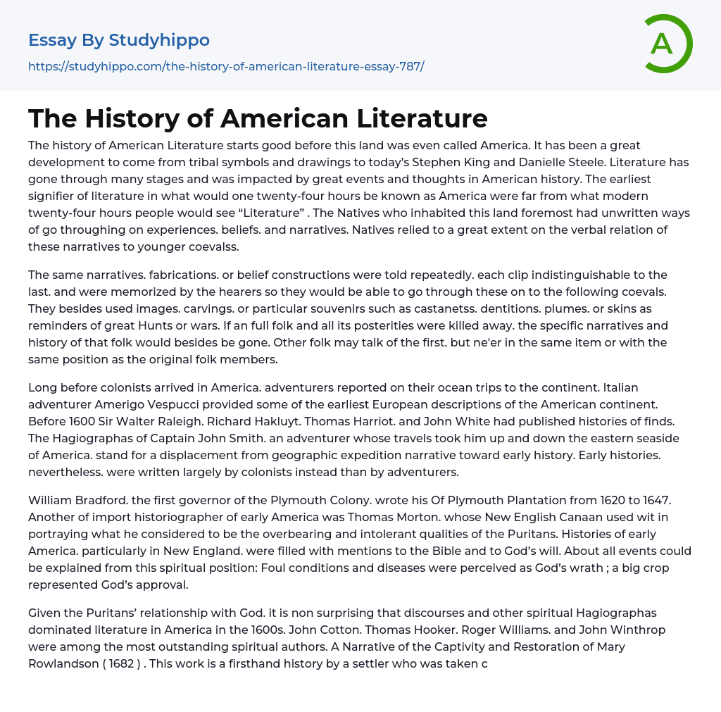 The History of American Literature Essay Example