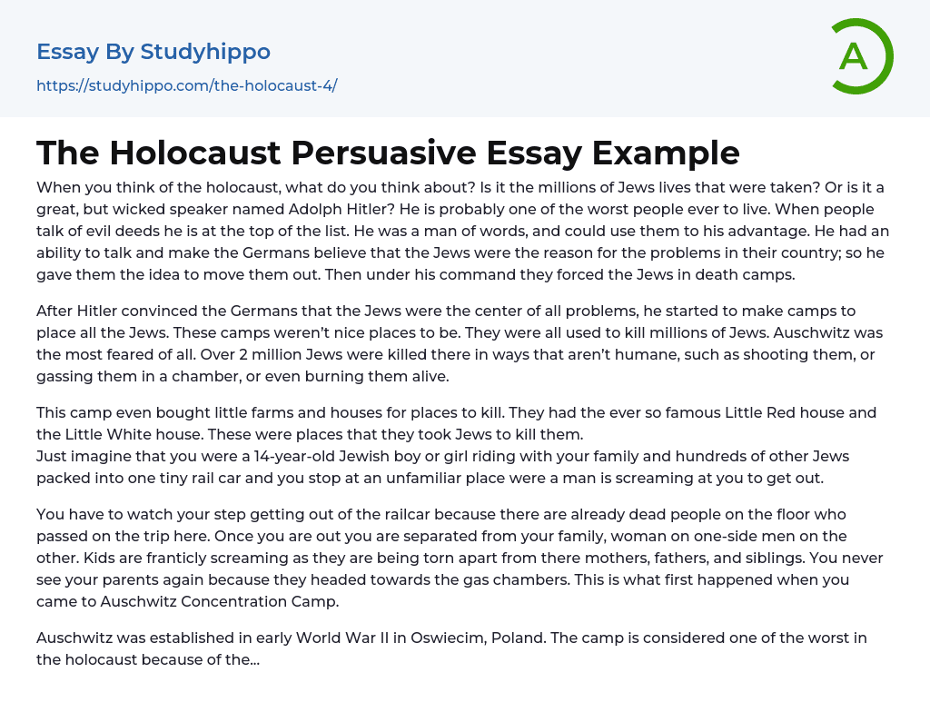 The Holocaust Persuasive Essay Example
