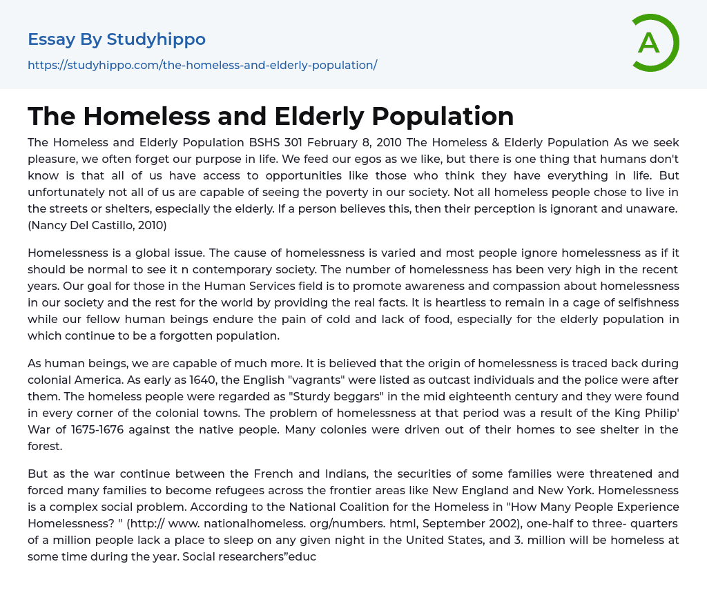 The Homeless and Elderly Population Essay Example
