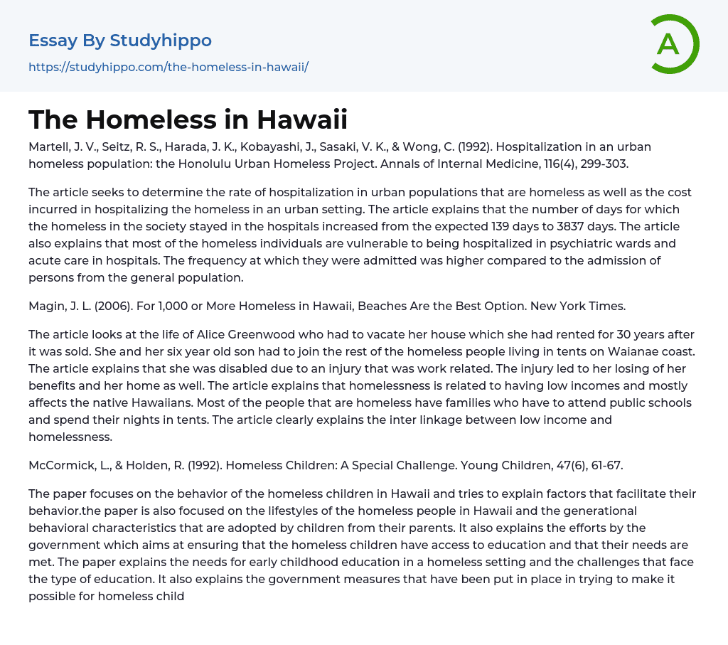 The Homeless in Hawaii Essay Example