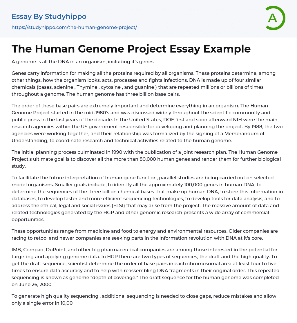 The Human Genome Project Essay Example