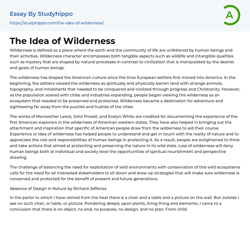 The Idea of Wilderness Essay Example
