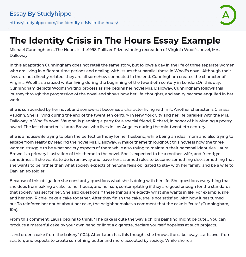The Identity Crisis in The Hours Essay Example