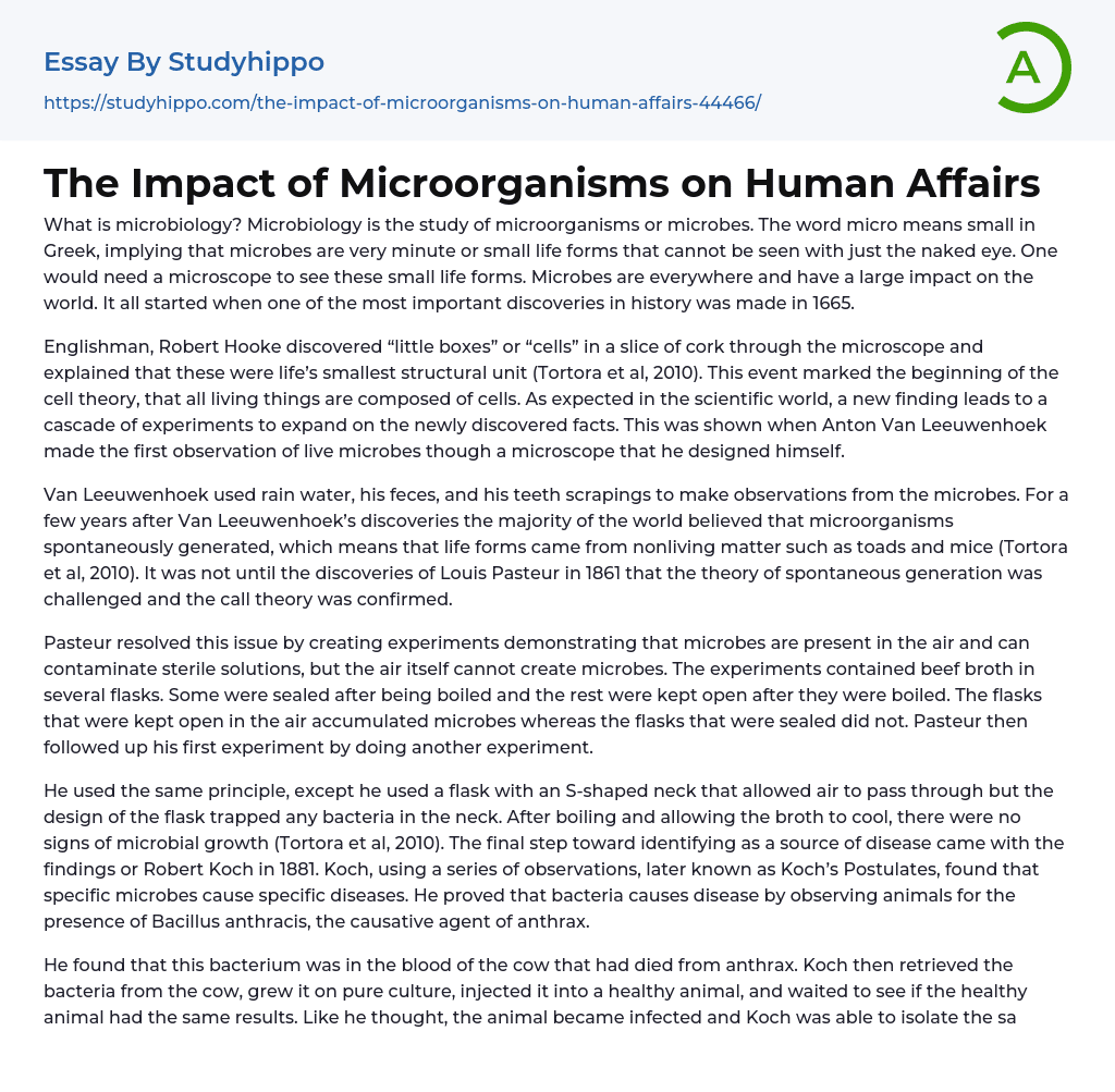 The Impact of Microorganisms on Human Affairs Essay Example