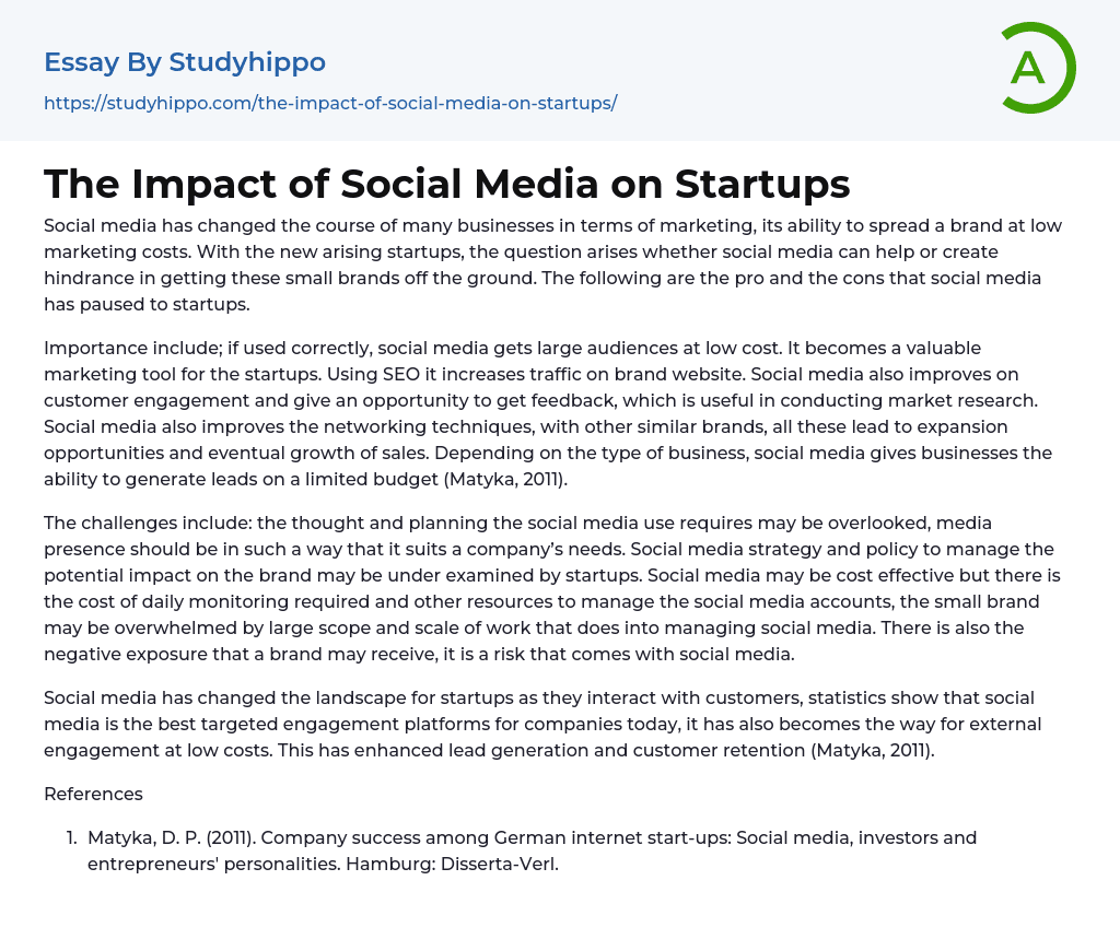 The Impact of Social Media on Startups Essay Example