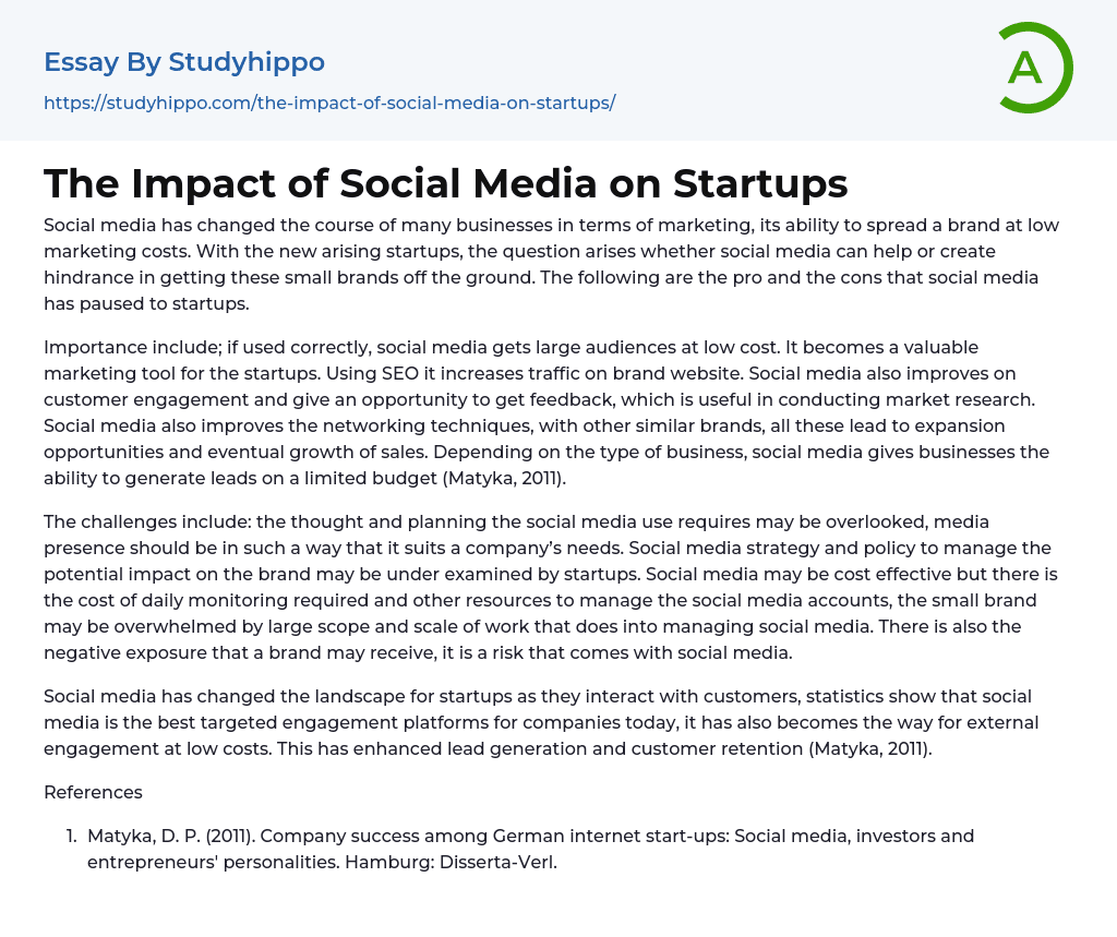 The Impact Of Social Media On Startups Essay Example StudyHippo