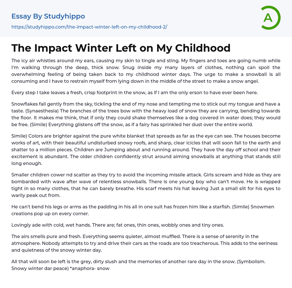 The Impact Winter Left on My Childhood Essay Example