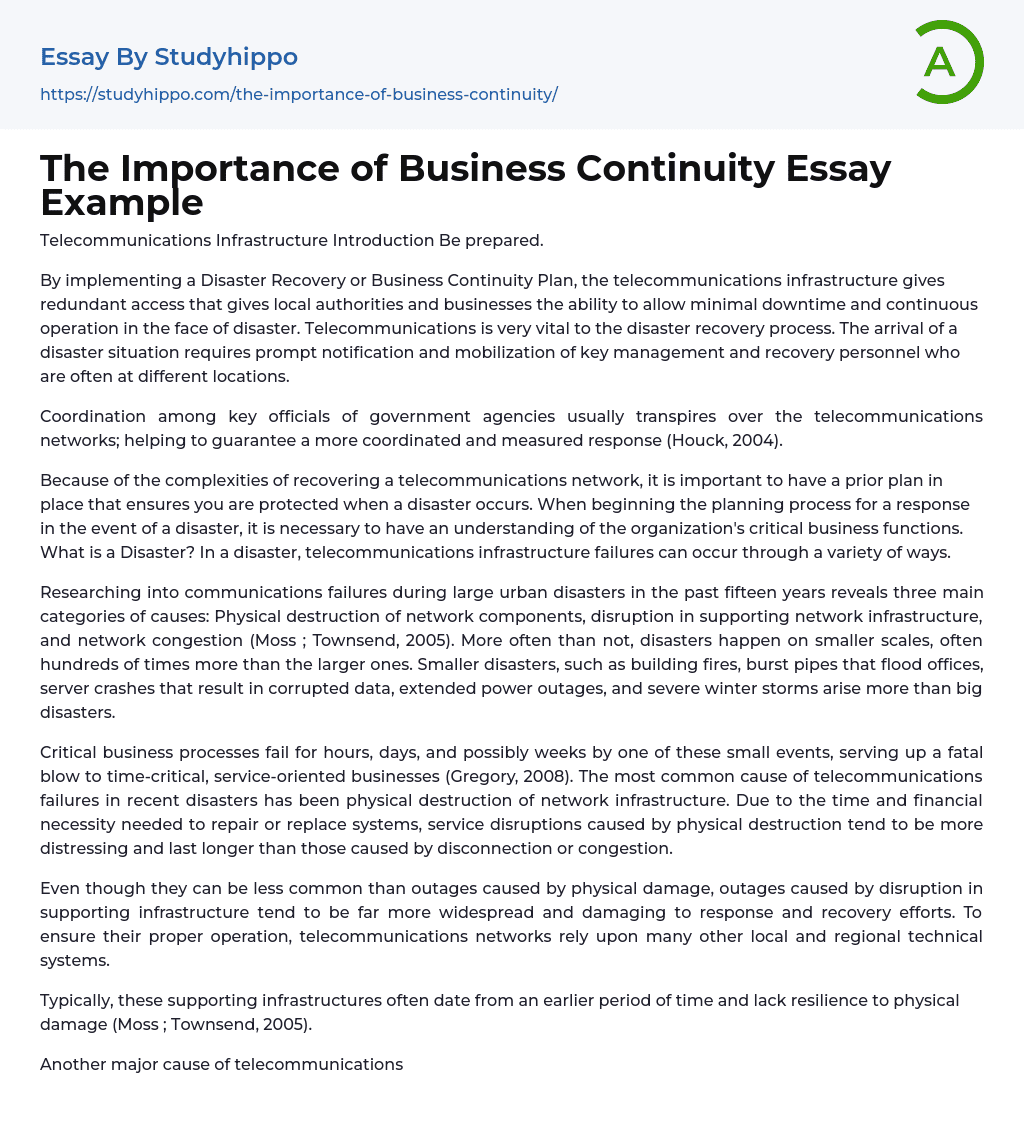 The Importance of Business Continuity Essay Example