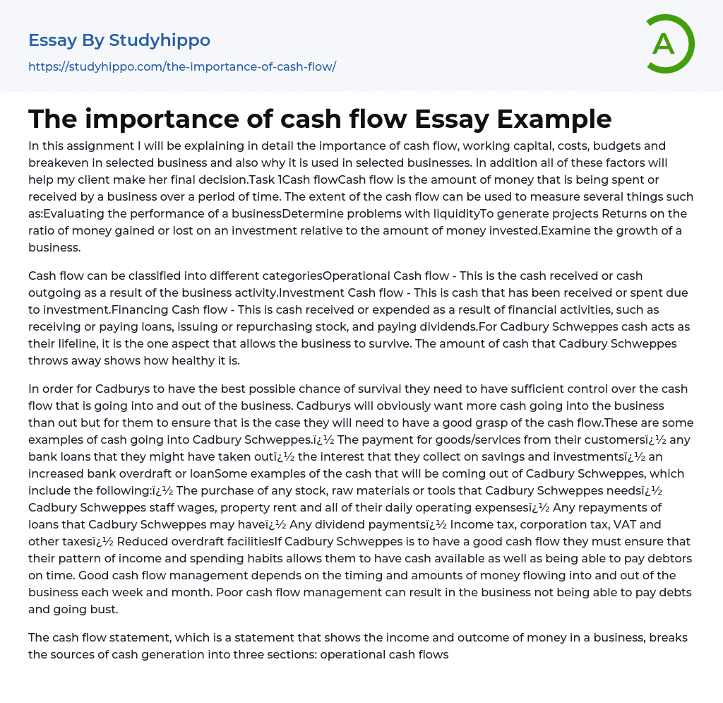 The importance of cash flow Essay Example