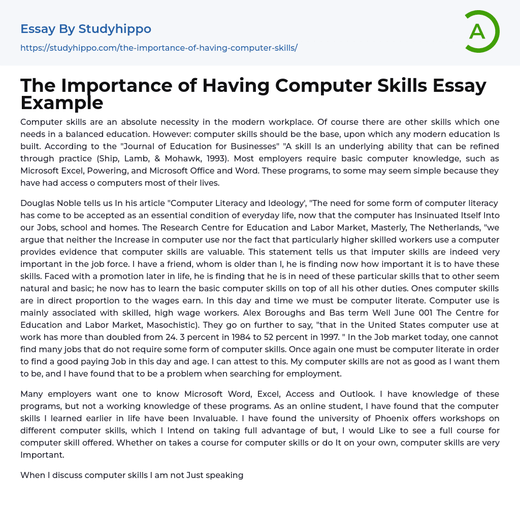 The Importance of Having Computer Skills Essay Example
