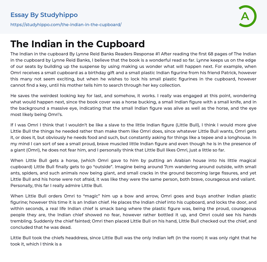 The Indian in the Cupboard Essay Example